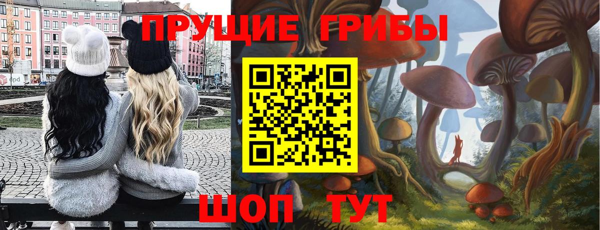 Псилоцибиновые грибы GOLDEN TEACHER Дальнереченск